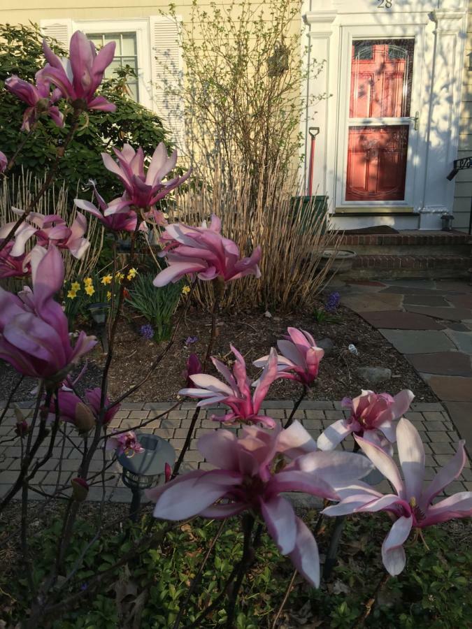Wellesley Bed And Breakfast Esterno foto