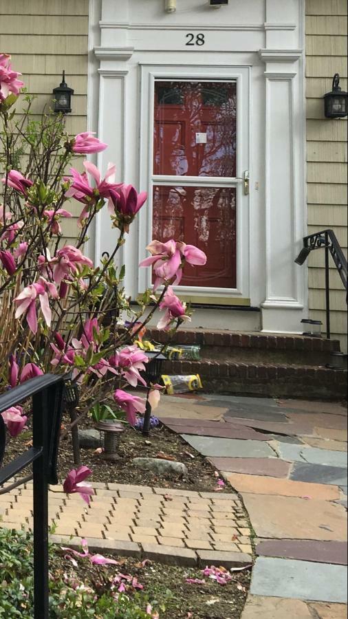 Wellesley Bed And Breakfast Esterno foto